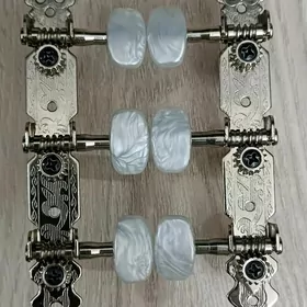 Gitara gulagy Колки