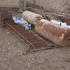 Merdiwan we bocka, kozyryok.