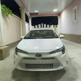 Toyota Corolla 2020