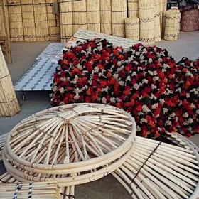 Гамыш Gamyş AK öý garöy Tüýnük