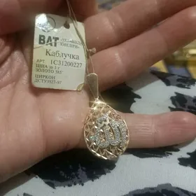 Gyzyl klon Rossiyskiy diketka