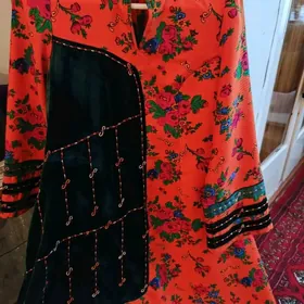 Той+Койнеклери