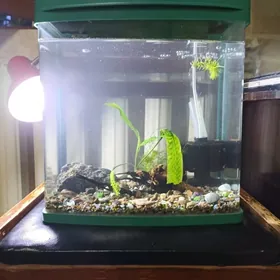 Аквариум заводсой20лкомплект