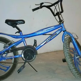 rainbow  tigir yetginjek