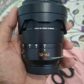lumix 12 60