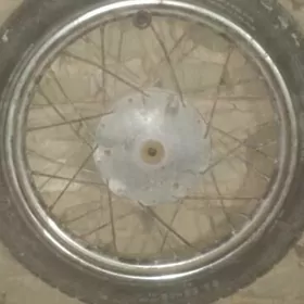 fekon mtr pleneta iž