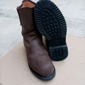 Adik  sapok Red Wing