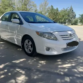Toyota Corolla 2009