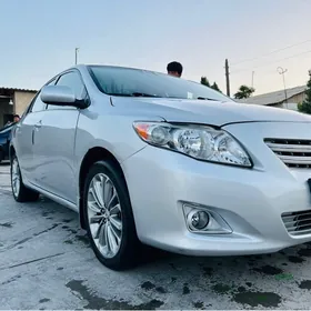 14 s carolla zawod diska