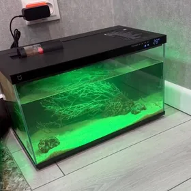 умный аквариум