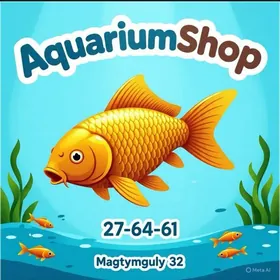 Рыбки Неоны