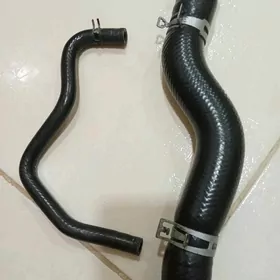 patrupka slanga okuz kelle