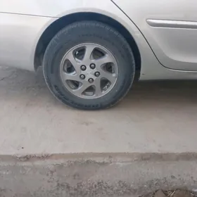 babchka  radnoy diska