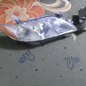 fara çyra oküz kelle 2008