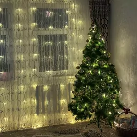 Taze yyl arzan yolka