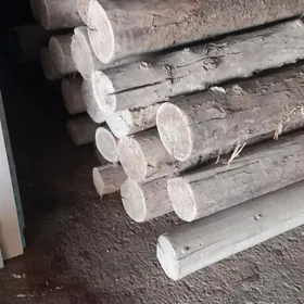 POL.AGAÇ.LAMINAT.PURS.ALYAS.