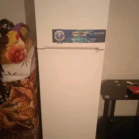 Holodilnik, sowadyjy