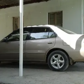 2001 karollañ yzky sag gapysy