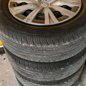 16 lik diska pakriska