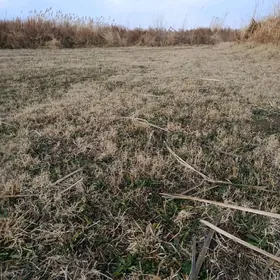 Açylan yer 4 Gekdar