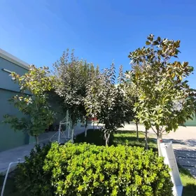 KAFE BAR MOŸKA 500 KW²