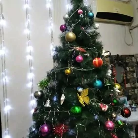 БОЛЬШАЯ ЁЛКА