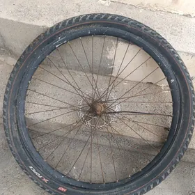 tigir icgi dasky diska