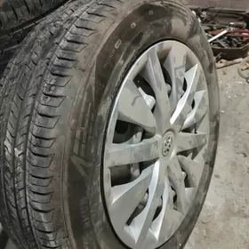 16.diske.pakryşka.kalpagy.bn