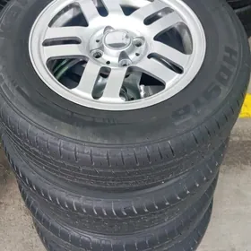 14 lik diska pakriska