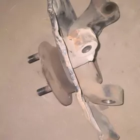 Stupisa 2.4 okuz kelle