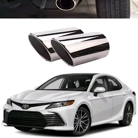 Camry Gulşitel Nasatga