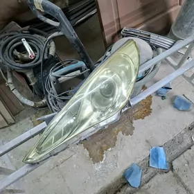 Fara 2011  2012 sonata