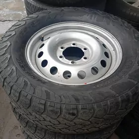 haylux 17 lik diska pakriska