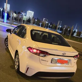 Toyota Corolla 2024
