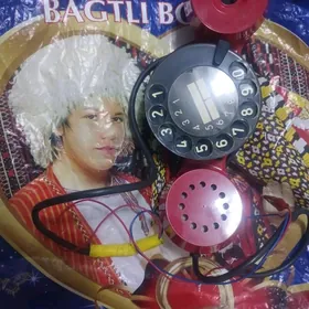 telefon domaśnyÿ liniya üçin