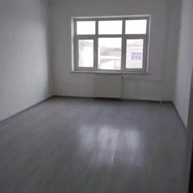 40 domda satyn aljak