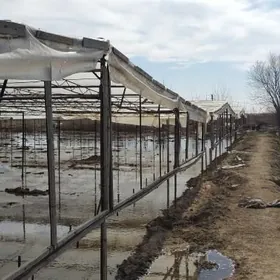 ParnikPARNIK ( TEPLISSA)