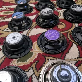 Pioneer gapy kalonka