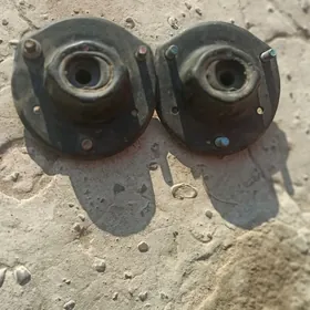 Samsyk kemri zawot casgady