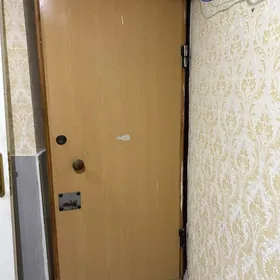 Железная дверь