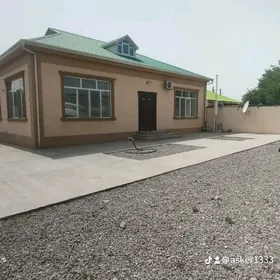 Çoganly Uly Yola golay