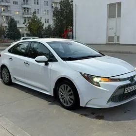 Toyota Corolla 2020