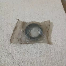 Гранат сальниги