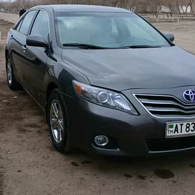 Toyota Camry 2010