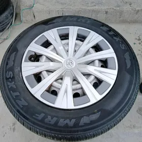 Kemry Disga pakryşga 16