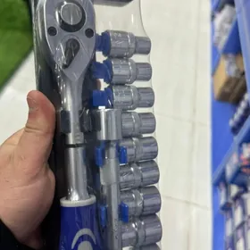 Sali golowka nabor 12 st