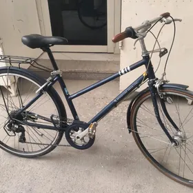 Tigir Ýapoşga welik