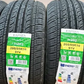205/55/16 KAPSEN H202