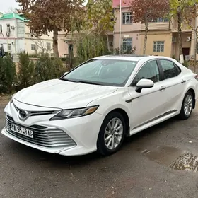 Toyota Camry 2019
