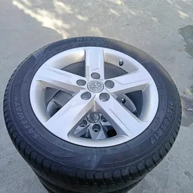 17 palta disga pakrysga